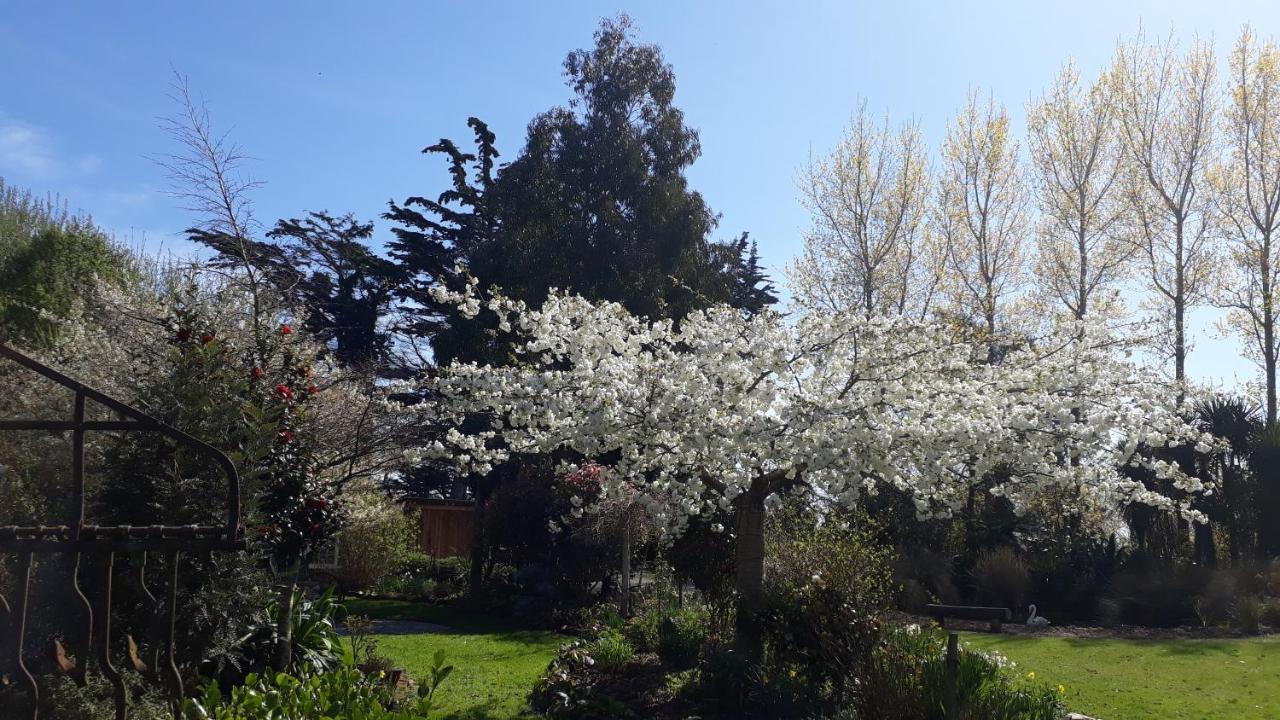 Folster Gardens Bed&Breakfast Invercargill Exterior foto