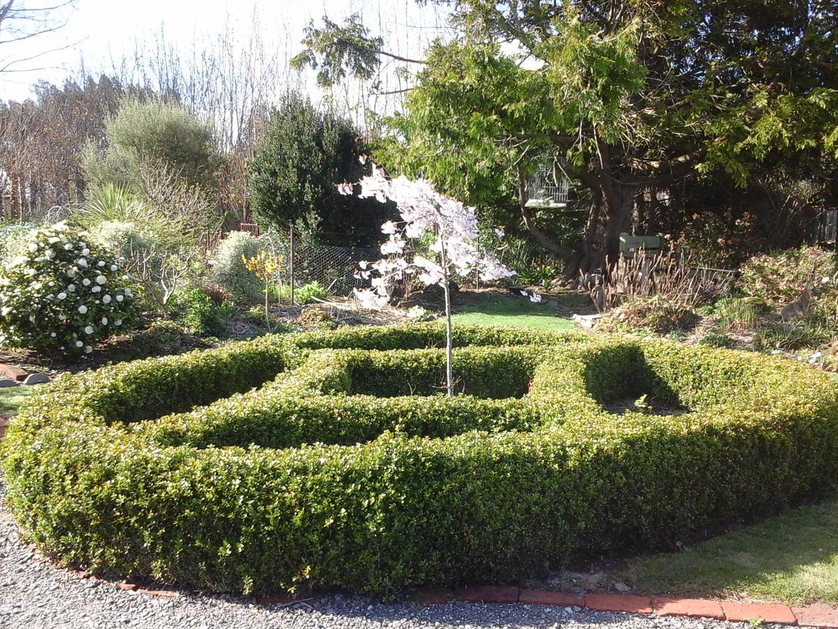 Folster Gardens Bed&Breakfast Invercargill Exterior foto