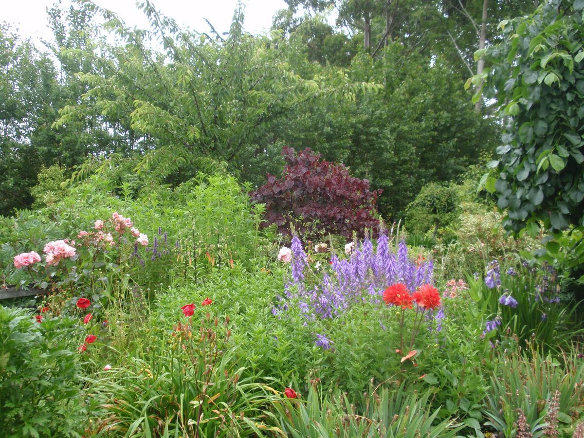 Folster Gardens Bed&Breakfast Invercargill Exterior foto